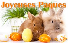 carte postale les lapins de paques